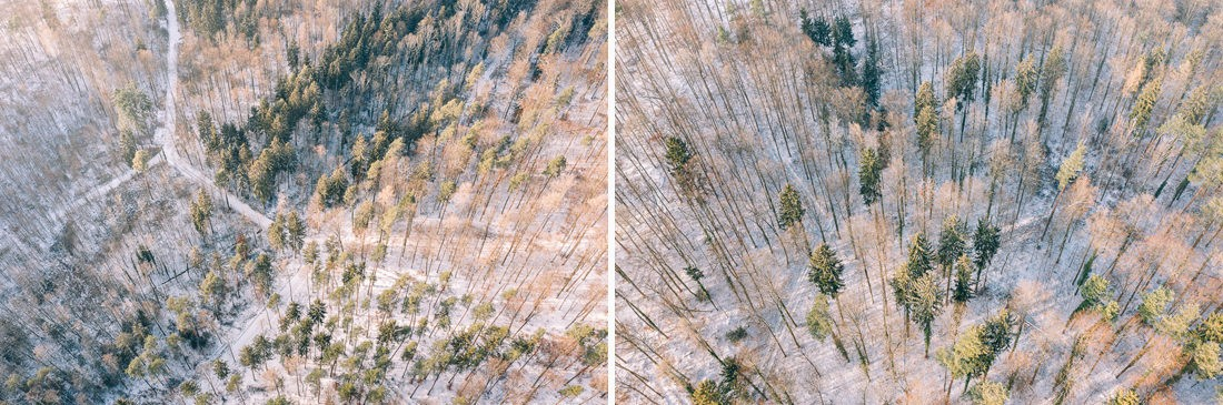 002 luftaufnahmen bodensee winterwald 1 - Winterlandschaft von oben