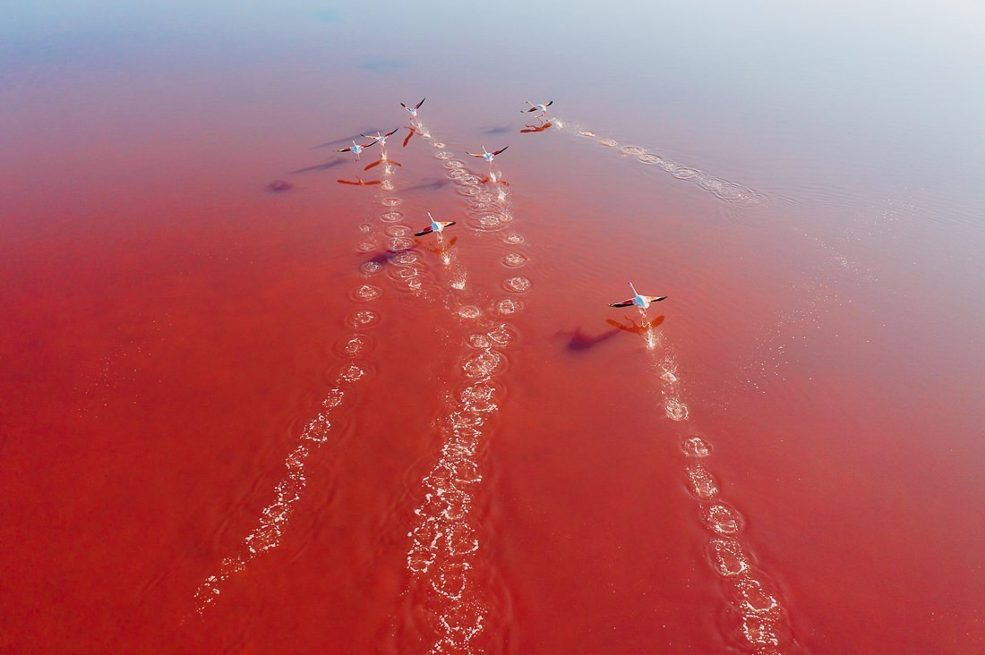 034 saltfields huelva algarve drone areal - Luftaufnahmen - Salzfelder am Mittelmeer