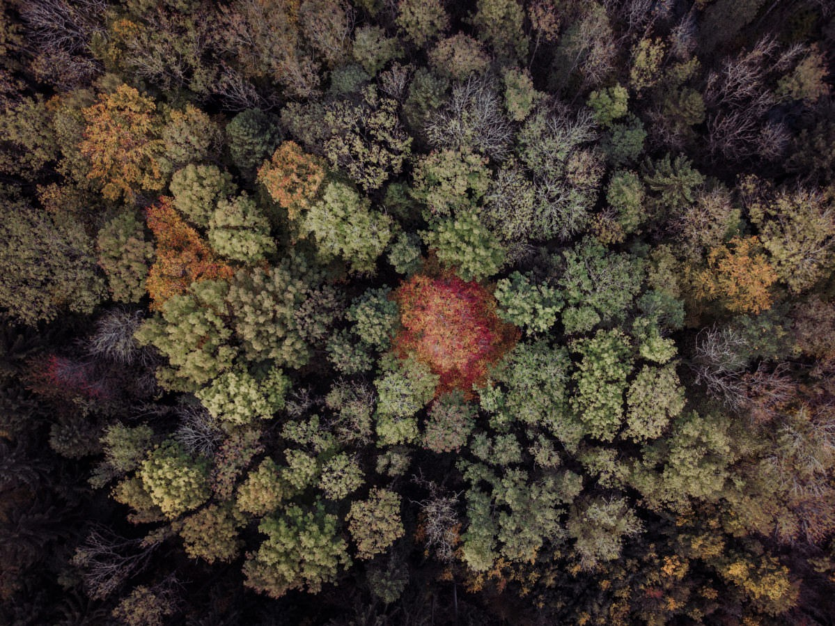 markdorf gehrenberg bodensee herbst 0002 - Luftaufnahmen vom Gehrenberg im Herbst