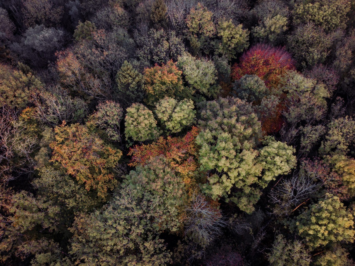 markdorf gehrenberg bodensee herbst 0003 - Luftaufnahmen vom Gehrenberg im Herbst