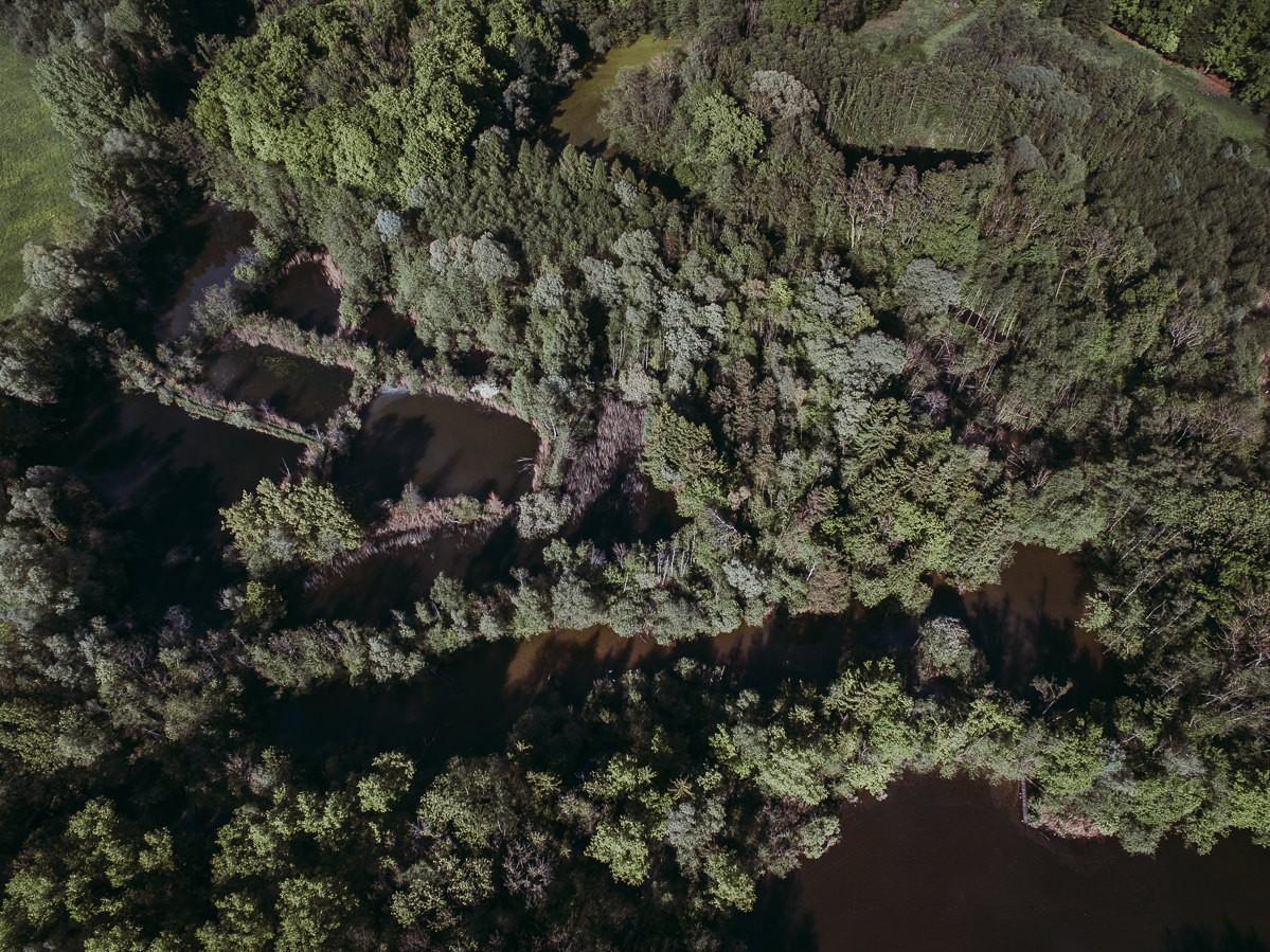 hochzeitsfotograf konstanz luftaufnahmen bodensee 0002 - Luftaufnahmen vom Torfgebiet bei Immenstaad