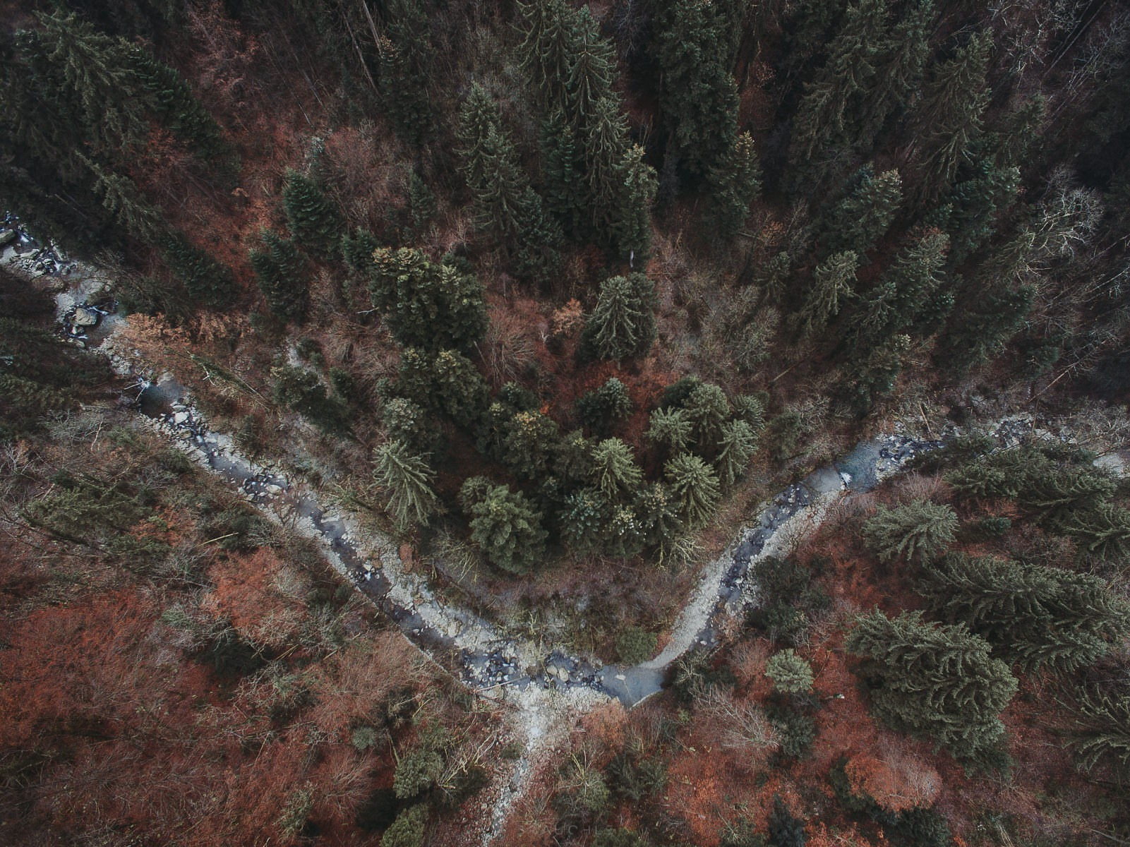 luftaufnahmen bodensee bregenzer wald 0002 - Luftaufnahmen vom Bregenzer Wald