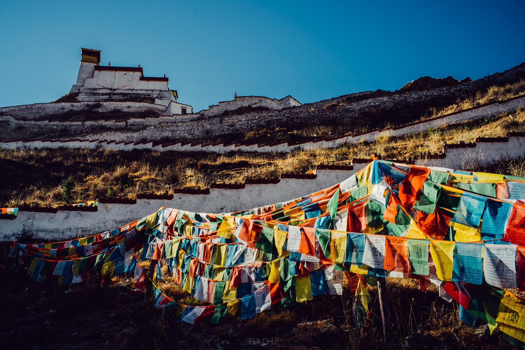 tibet tsetang yumbulhakhang trandruk lhakang 0001 - Tsetang Yumbulakhang