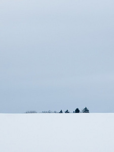 winter minimalismus schnee 1 225x300 - winter-minimalismus-schnee.jpg