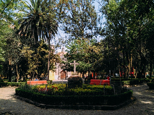 frida karlo park Mexiko City 300x225 - frida karlo park Mexiko City