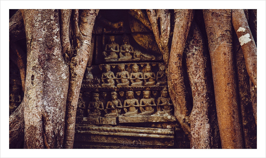 angkor 2011 1 2 - In den Tempelanlagen von Angkor